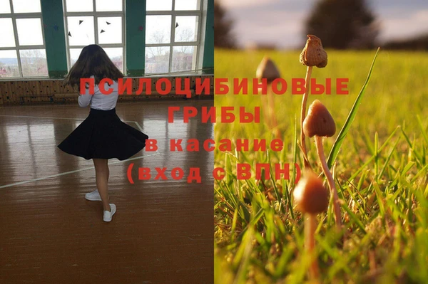 героин Каменка