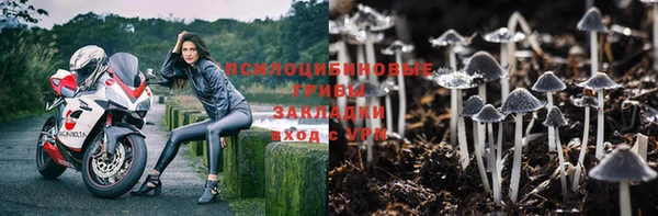 прущая мука Каменногорск