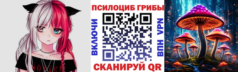 Купить  Бокситогорск  Галлюциногенные грибы MAGIC MUSHROOMS 